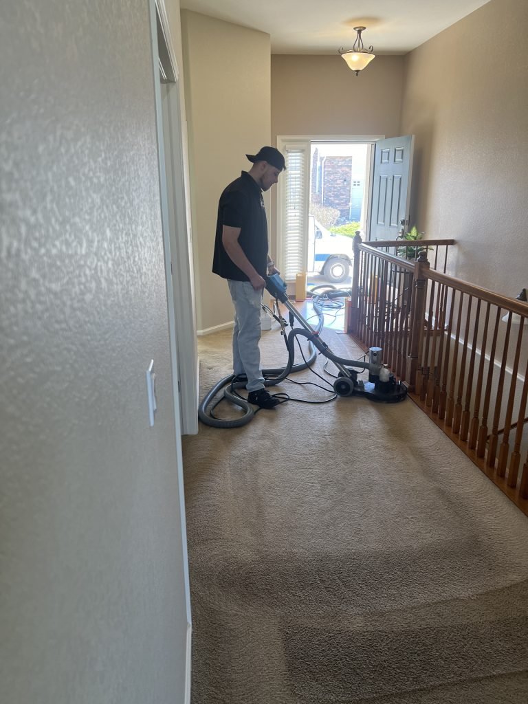 colorado carpet masters best carpet cleaner in brighton co cleaning carpets with t rex power wand